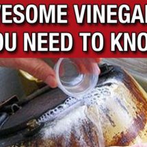 10 Awesome Vinegar Life Hacks Everyone Should Know