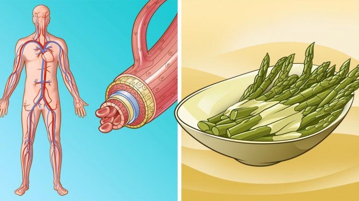 10-Foods-That-Help-Protect-The-Heart-And-Clean-Arteries