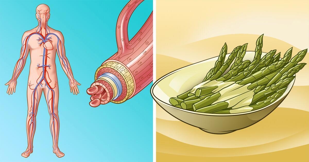 10 Foods That Help Protect The Heart And Clean Arteries 