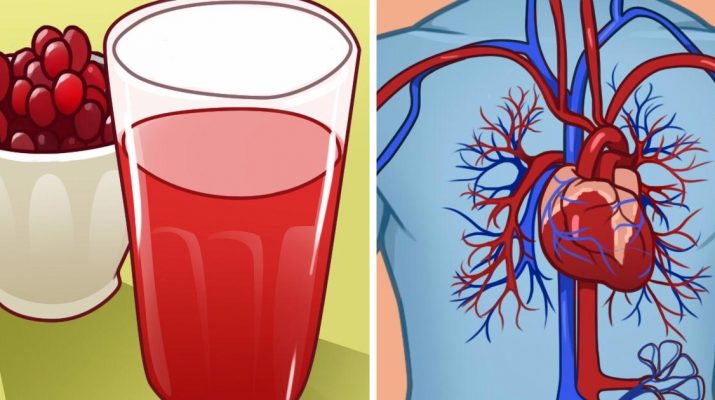 10-Incredible-Effects-Of-Cranberries-On-Your-Heart-And-Health