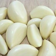 Garlic: The Most Effective Cure for Pneumonia, Coughs, Colds, Ear Infections