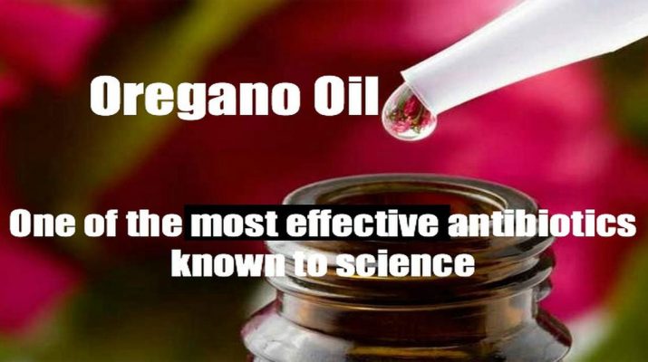 Oregano-Oil-How-to-Use-it-to-Treat-All-Pains,-Colds,-Infections,-Sores-Without-Any-Drugs