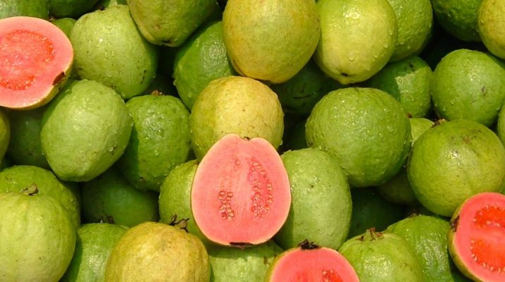The-Impressive-Health-Benefits-of-Guava-Fruit-and-Leaves-&-How-to-Eat-Guava