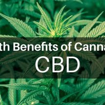 The Many Medicinal Benefits of Cannabis and Cannabidiol (CBD)