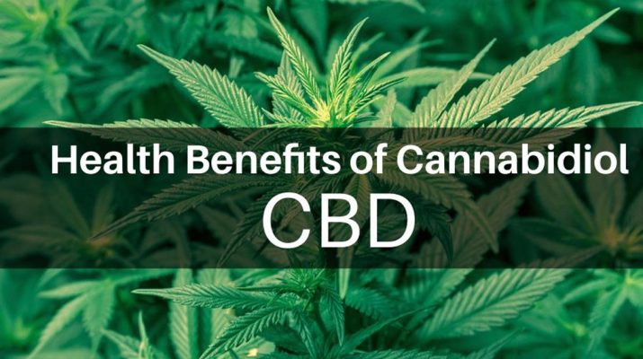 The Many Medicinal Benefits of Cannabis and Cannabidiol