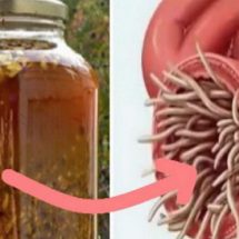 The Most Powerful Natural Antibiotic Ever, It Cures Any Infection In The Body And Kills Parasites!