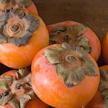 The Therapeutic Benefits Of Persimmon Many People Don’t Know About