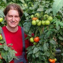 This is How to Correctly Plant Tomatoes to Grow 5–8 ft Plants