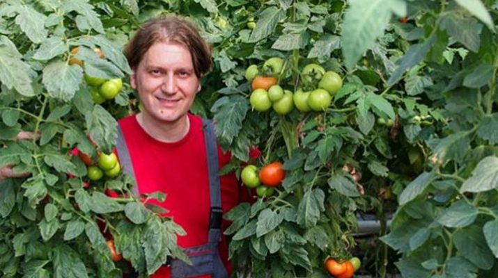 This-is-How-to-Correctly-Plant-Tomatoes-to-Grow-5–8-ft-Plants