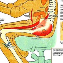 4 Scientists Explain What Sitting Too Long Does To Your Body