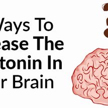 5 Ways to Increase the Serotonin in Your Brain