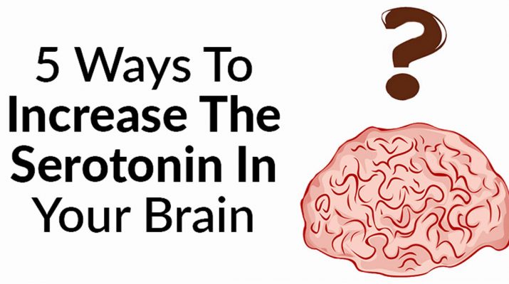 5-Ways-to-Increase-the-Serotonin-in-Your-Brain