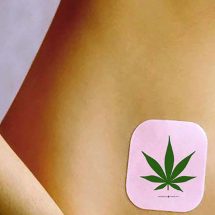Cannabis Patch To Treat Fibromyalgia And Diabetic Nerve Pain Revealed