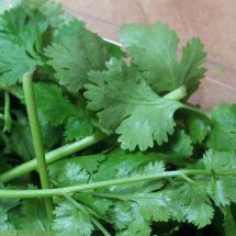 Cilantro can Remove 80% of Heavy Metals from the Body within 42 Days. Here is What You Need to Do