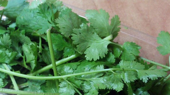 Cilantro-can-Remove-80%-of-Heavy-Metals-from-the-Body-within-42-Days