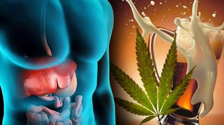 Largest-Study-To-Date-Finds-Cannabis-Helps-Prevent-Alcohol-Related-Liver-Damage