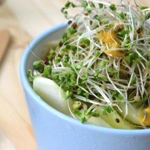 Proven Benefits of Broccoli Sprouts and How to Grow Broccoli Sprouts at Home