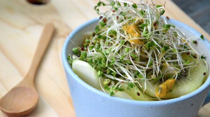 Proven-Benefits-of-Broccoli-Sprouts-and-How-to-Grow-Broccoli-Sprouts-at-Home