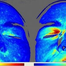 Studies Show What Happens To The Human Body When We Walk Barefoot On Earth