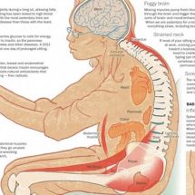 10 Health Dangers of Sitting Too Long, and How It’s Slowly Crippling Your Body