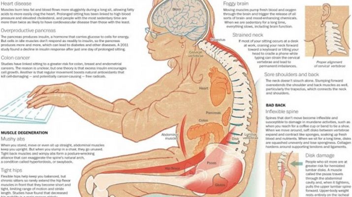10-Health-Dangers-of-Sitting-Too-Long,-and-How-It’s-Slowly-Crippling-Your-Body