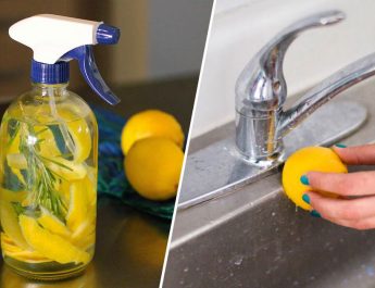 6 Genius Ways To Use Lemon Peels Around The House