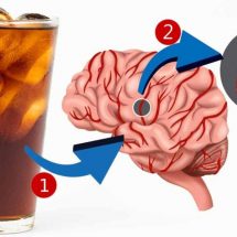 Artificially Sweetened Drinks (Aspartame etc.) Found To Triple Your Risk Of Stroke & Dementia