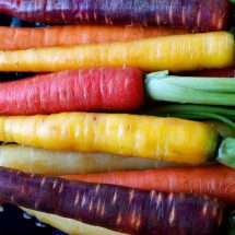 Carrots 101: Proven Health Benefits and Nutrition Facts (Calories, Carbs, Fiber, Vitamins)