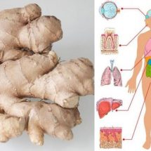 Eat Ginger Every Day for 1 Month and These 8 Things Will Happen to Your Body!