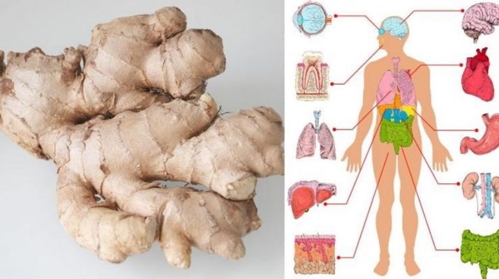 Eat-Ginger-Every-Day-for-1-Month-and-These-8-Things-Will-Happen-to-Your-Body!
