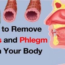 Flush Mucus From Your Body With These Highly Effective Home Treatments (Evidence Based)