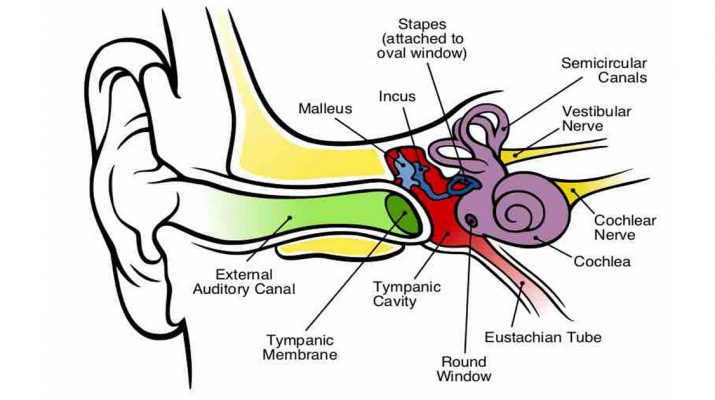 Popping,-Clicking-or-Crackling-Sound-in-Ear-What-Does-It-Mean