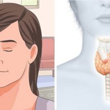 Science Explains How to Jump-Start Sluggish Thyroid to Burn Fat and Boost Metabolism