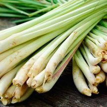 Use Lemongrass To Kill Bacterial, Fungal And Yeast Infections