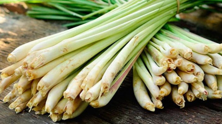 Use-Lemongrass-To-Kill-Bacterial,-Fungal-And-Yeast-Infections