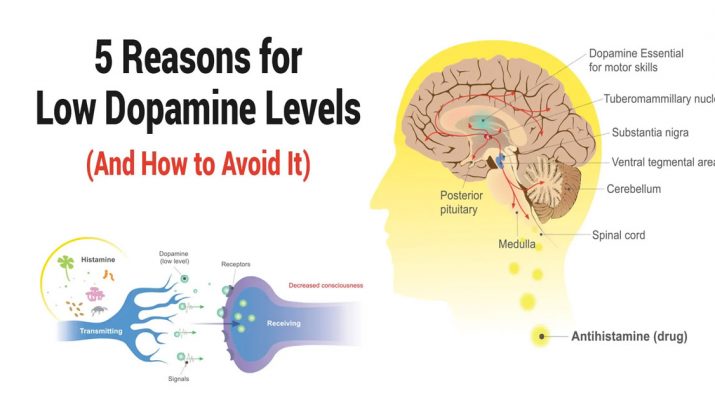 5-Reasons-for-Low-Dopamine-Levels-(And-How-to-Avoid-It)