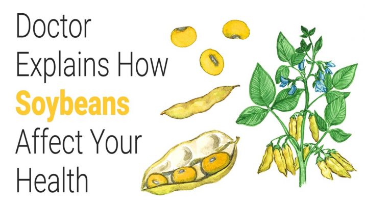 Doctor-Explains-How-Soybeans-Affect-Your-Health