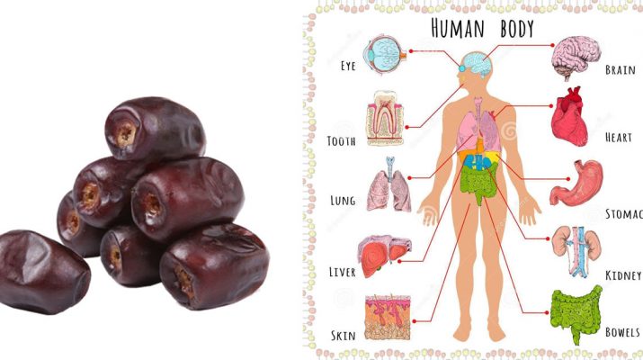 If-You-Eat-3-Dates-Everyday-For-1-Week-This-Is-What-Happens-To-Your-Body