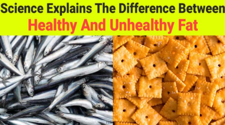 Science-Explains-The-Difference-Between-Healthy-And-Unhealthy-Fat