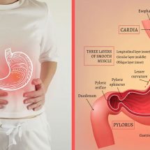 10 Hidden Signs of Gastritis to Never Ignore