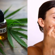 12 Amazing Benefits Of Using CBD Oil