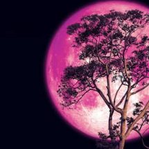 Prepare Yourself For A Major Energetic Shift During The Full Strawberry Moon On June 16th