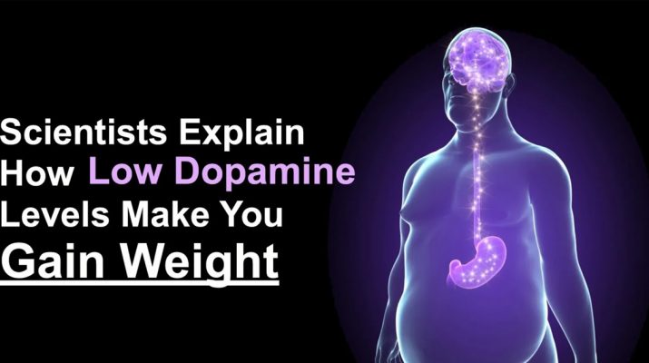 Scientists-Explain-How-Low-Dopamine-Levels-Make-You-Gain-Weight