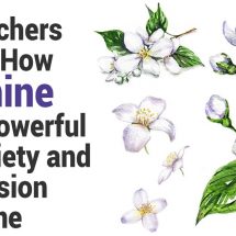 Researchers Reveal How Jasmine Is As Powerful As Anxiety and Depression Medicine