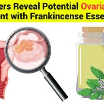 Researchers Reveal Potential Ovarian Cancer Treatment with Frankincense Essential Oil