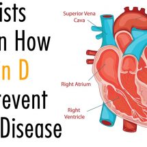 Scientists Explain How Vitamin D Can Prevent Heart Disease