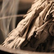 The Science of Smudging: This Is What Sage Does to Bacteria in the Air