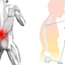 10 Reasons You Might be Dealing with Lower Back Pain and How to Fix it