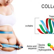 Does Collagen Really Help in Weight Loss? Here is What the Experts Say