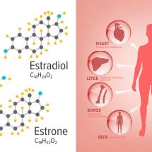 Researchers Reveal How to Lower Estrogen Levels (Without Medicine)